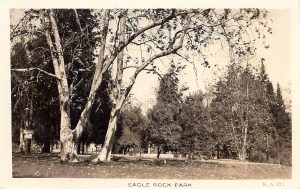 Picnicking under the sycamores in Huntington's park. (Stargel collection)
