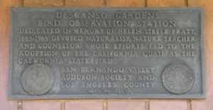 "Miss Pratt died in 1965, and the Eagle Rock home passed into other hands and if birds are psychic as some authorities believe, they mourned.
Now through efforts of the Los Angeles and San Fernando Audubon Clubs, Helen Pratt will always be known to birddom as children and adults meet in the screened in “treehouse” (now the "Lakeside Lookout")-at Descanso Gardens in La Canada-where they can watch the gathering of birds from all the world. A bronze plaque will tell the story to many generations how a “bird lady” who once lived in Eagle Rock made the world a cheerful place full of song and beauty." (caption Nelda Thompson-ERS, photo EW)
