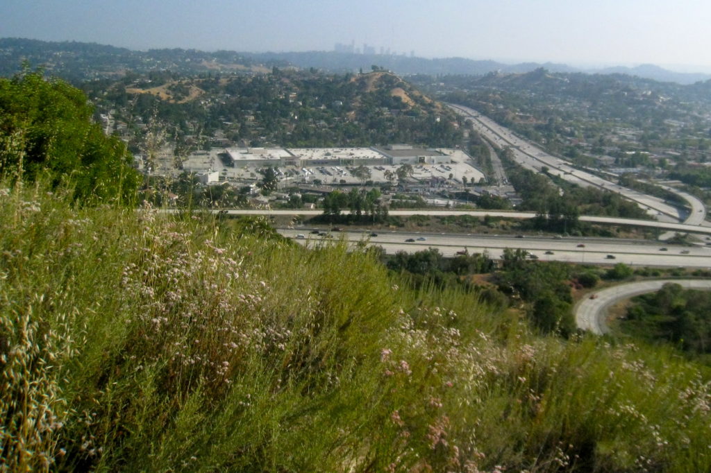 The 134 Freeway, 2 Freeway, and the Eagle Rock Plaza with double-decker parking lot surrounding it– a monument to the automobile-centric freeway era of Eagle Rock. (Photo by Severin Martinez)