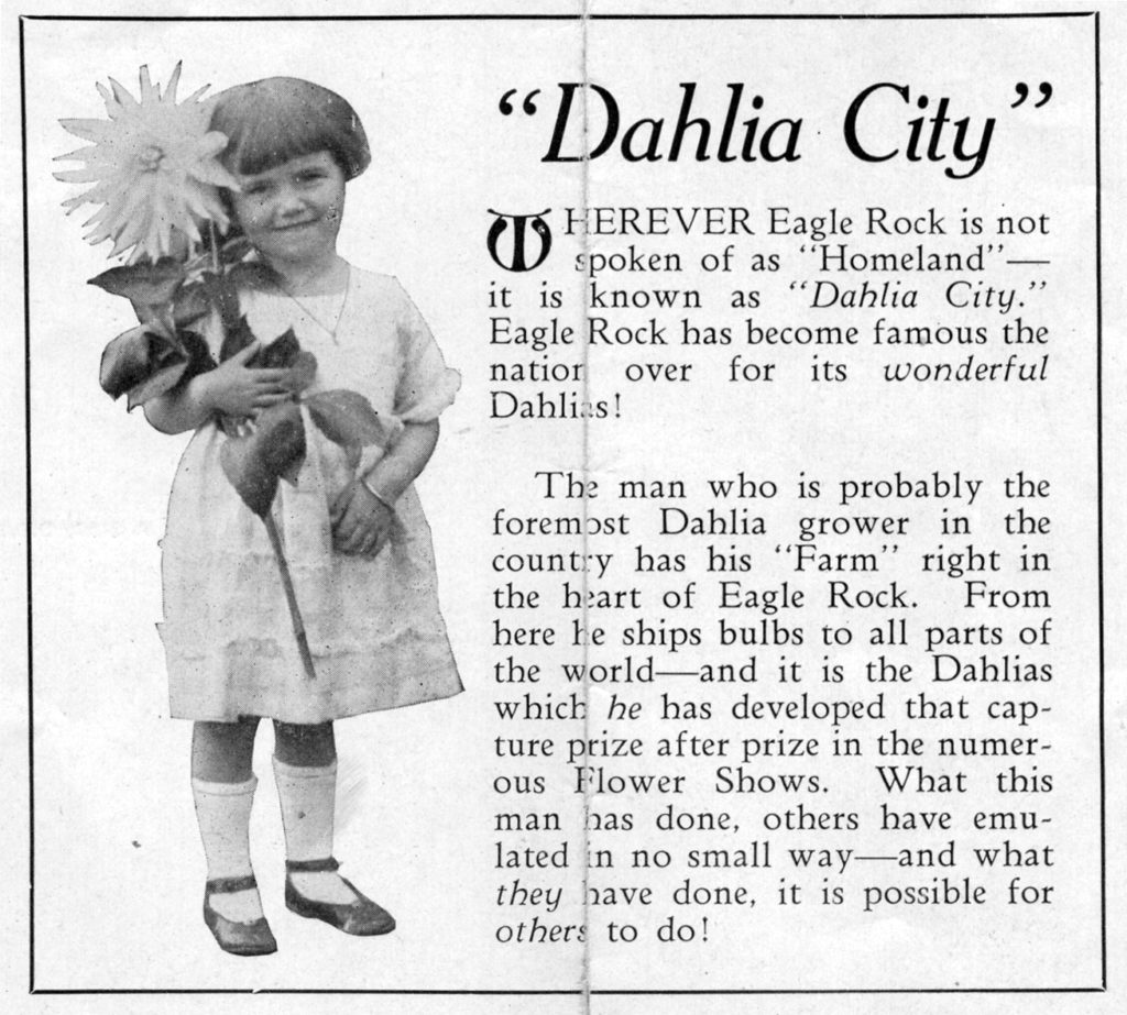 This advertisement in a Chamber of Commerce Brochure published in 1925 identifies Eagle Rock closely with its most famous product. (ERCOC brochure-ERVHS)